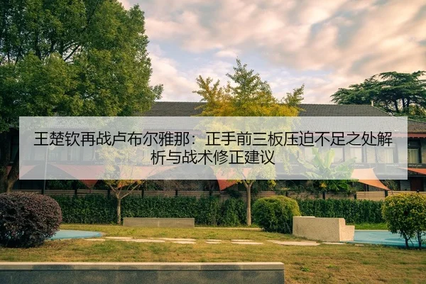 wang-chu-qin-zai-zhan-lu-bu-er-ya-na-zheng-shou-qian-san-ban-ya-po-bu-zu-zhi-chu-jie-xi-yu-zhan-shu-xiu-zheng-jian-yi-2-706.jpg