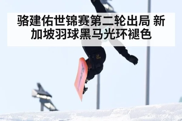 骆建佑世锦赛第二轮出局 新加坡羽球黑马光环褪色